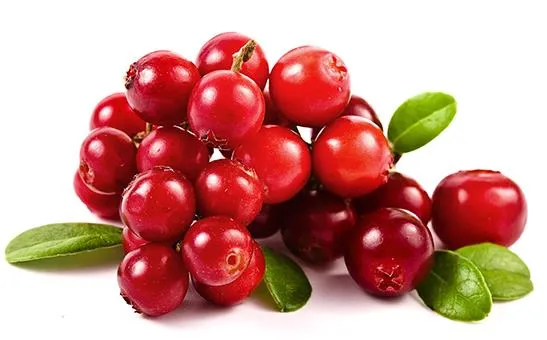cranberry fruit cranberry fruit