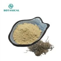 Poudre d'ecdystérone
