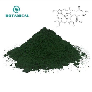 Chlorophylline en cuivre de sodium
