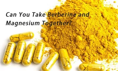 Pouvez-vous prendre de la berbérine et du magnésium ensemble ?