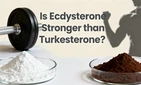 L'ecdystérone est-elle plus forte que la turkestérone ?