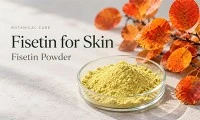 Que fait la Fisétine pour la peau ?